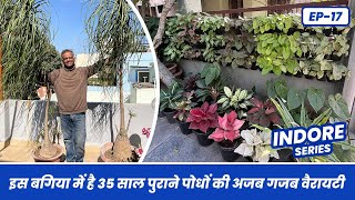 35 साल पुराने पौधों का अद्भुत कलेक्शन 🪴👌 35 Year Old Plants Collection ☘️ Indore Series EP-17