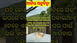 ସୋଇବା_ଘରେ_ଠାକୁରଙ୍କ_ଫଟ_ରଖିଲେ_ଘରେ_କେଉଁ_ସମସ୍ୟା_ଦେଖା_ଦେଇଥାଏ#youtube_shorts_video_odia_youtube_shorts