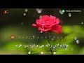 pashto song barana roro pe warega naray baraan de lyrics wajid layaq acoustic cover skc