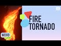 How does a fire tornado form? | Weird Australia | ABC Science