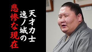 【突然の引退をした逸ノ城の衝撃すぎる現在】天才と言われた力士の驚くべきセカンドキャリアとは？