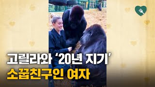 고릴라와 20년 지기 소꿉친구로 지낸 여성