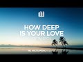 SRTW, PTCH - How Deep Is Your Love