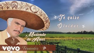 Vicente Fernández - Quisiera Saber (Te Quise Olvidar) (Cover Audio)