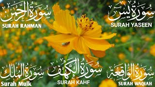 Surah Kahf ❤️ Surah Yaseen ❤️ Surah Rahman ❤️ Surah Mulk ❤️ Surah Waqiah Beautiful Voice