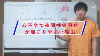 ２分でわかる心不全と夜間呼吸困難の関係性