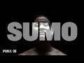 Lisa Sanaye Dring’s SUMO - Teaser Trailer | The Public Theater