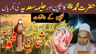 Hazrat Muhammad  SAW  ki Paidaish Parwarish ka Qissa | Birth of Prophet Muhammad Qari hanif