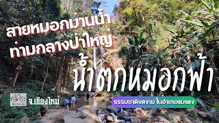 ที่เที่ยวเชียงใหม่ น้ำตกหมอกฟ้า อำเภอแม่แตง จังหวัดเชียงใหม่ - Mok Fa Waterfall Chiang Mai