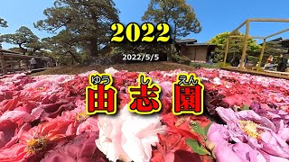 【由志園】牡丹の花を池いっぱいに浮かせる日本庭園！