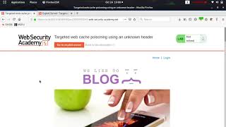 Targeted web cache poisoning using an unknown header (Video Solution) | 2020