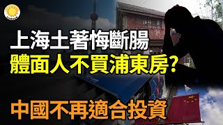 🔥【財經】上海土著悔斷腸！「體面人誰會買浦東的房子」？中國不再適合投資；中國「泡水車」大軍壓境，特斯拉只賣這個數；陸房市下行超預期，碧桂園8月銷售額跌逾七成【阿波羅網FL】