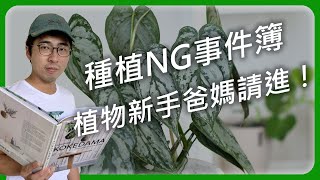 #植物新手必看 避開常發生的種植NG事件，一起告別黑手指！ #澆水 #介質 #肥料 #新手種植 # | 宅栽 |