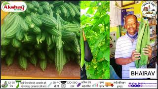 AKSHAY SEEDS RIDGE GOURD BHAIRAV