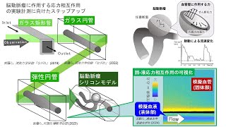 偏光計測による血液と血管の応力相互作用の可視化