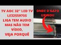 TV OAC LE32S5970S, SEM IMAGEM, SÓ URINA DE GATO