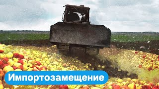 Нужно ли давить импортные яблоки?