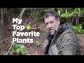 Botany with Bobby: Top 5 Favorite Plants at Olympic Sculpture Park
