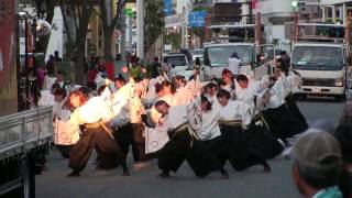 第20回よさこい東海道(2016/11/12)「東京学生生っ粋」