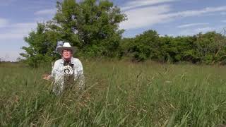 Thank a Farmer! Thank a Rancher!