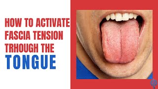 How to Activate Fascia Tension Through The Tongue?