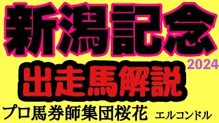 エルコンドル氏の新潟記念2024出走馬解説！！ハンデ戦にして週末は台風の影響もあり難解になりそう？レッドラディエンスとキングズパレスの評価も悩ましい！