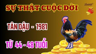 Tử Vi - Sự Thật Cuộc Đời - Tân Dậu 1981 - Nổ Lộc Từ 44 Tới 48 Tuổi - Cả Nhà Bận Rộn Đếm Tiền