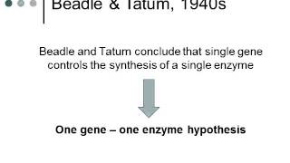 BI177 Chapter 12 Gene Expression - Part 1 of 3