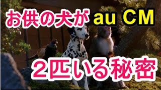 【CM】KDDI au CM ダブルネットワーク「お供の秘密」篇 有村架純 松田翔太 桐谷健太 濱田岳