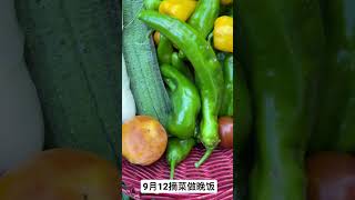 9月12摘菜做晚饭