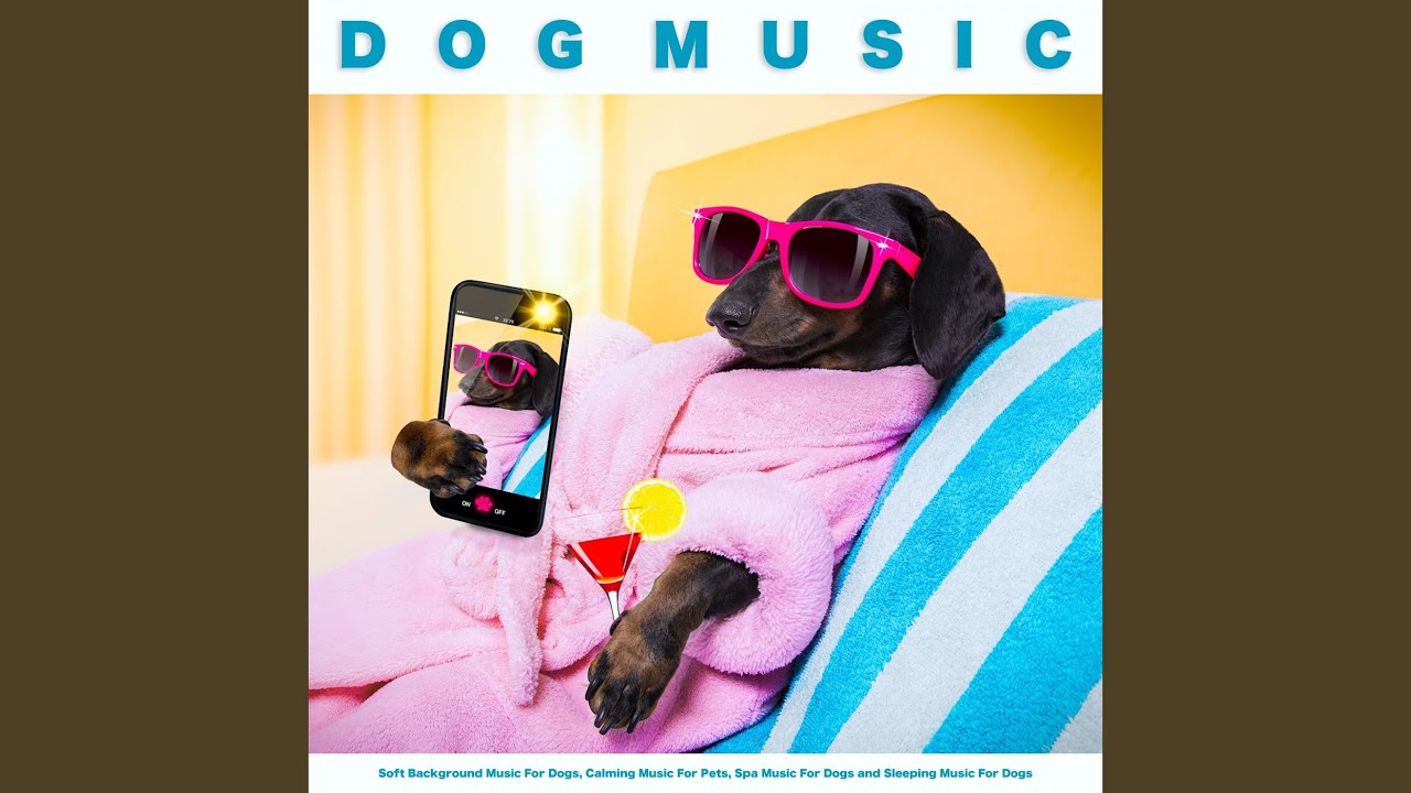 Relaxing Puppy Music Youtube Music