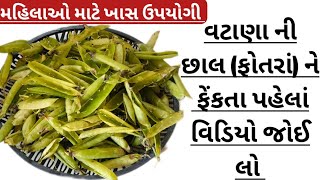 વટાણા નાં ફોફાંને ભૂલ થી પણ ફેંકતા નહી| મહીલાઓ માટે ખાસ ઉપયોગી અનેક ટિપ્સ kitchen home cleaning tips