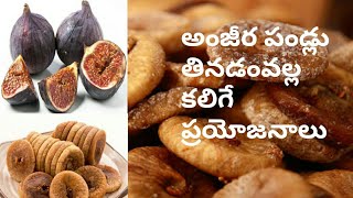 అంజీర పండు తినడం వల్ల కలిగే ప్రయోజనాలు // Benefits Of Anjeer in Telugu