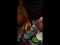 Cara membuat slime dengan 4 bahan butan citra