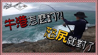 岸拋系列【牛港季節來臨，怎麼釣最好，尻就對了】D.C.L釣起來【shore jigging】