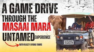 Maasai Mara 4k Game Drive 2025, Kenya 🇰🇪