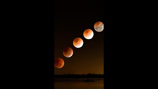 Why Moon Turns Blood Red During Total Eclipse