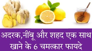 अदरक,नींबू और शहद को मिलाकर खाने के फायदे | Ginger- Lemon And Honey Health Benefits in Hindi |