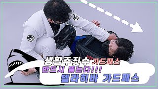 델라히바 가드패스 - 반드시 뚫는다!