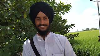 ਵੇਖੋ ਇਕ ਏਕੜ ਮਗਰ ਕਿੰਨੇ ਦਰੱਖਤ ਲਾਉਂਦੇ ਨੇ ਲੋਕ।