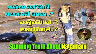 Nagamani Real Or Fake ? | Stunning Truth About Nagamani | Jai Swaraajya Tv