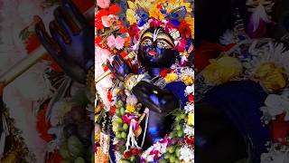 🌼আজকের অপূর্ব সুন্দর দর্শন শ্রী রাধা কৃষ্ণের #krishna #radha #shorts @atanubag4117