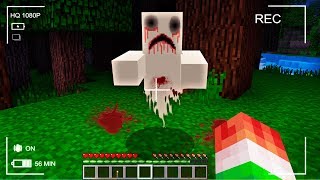NEVER PLAY THIS MINECRAFT SEED CREEPY SIGHTING 