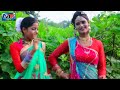 video बैगन बारी deepak raj yadav baigan bari ।। new maghi song 2024 ।। mk khortha music