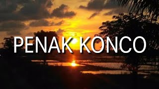 Download Lagu Penak konco guyon waton cover lky ft Cantika... MP3 Gratis