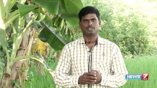 Tips to grow 'Ammaan Pacharisi' which helps to cure wart | Poovali | News7 Tamil