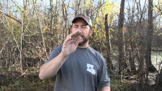 P 90 Pheasant Call
