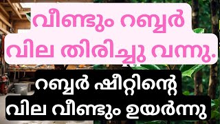 rubber price today in kerala| kerala rubber sheet price today |