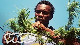 Swaziland: Gold Mine of Marijuana (Part 2/2)