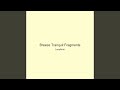 Breeze Tranquil Fragments
